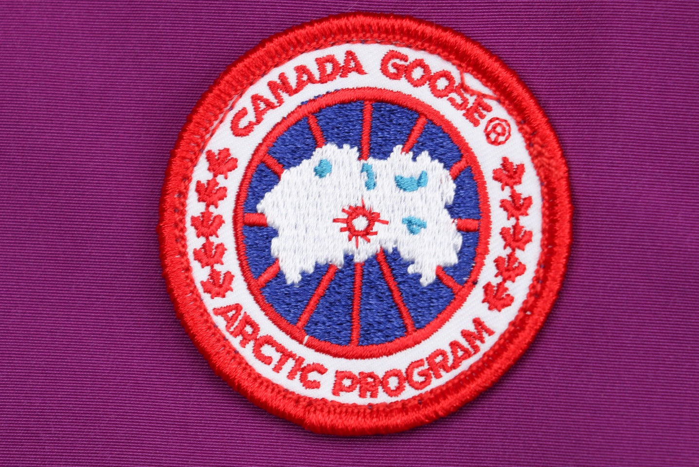 Canada Goose