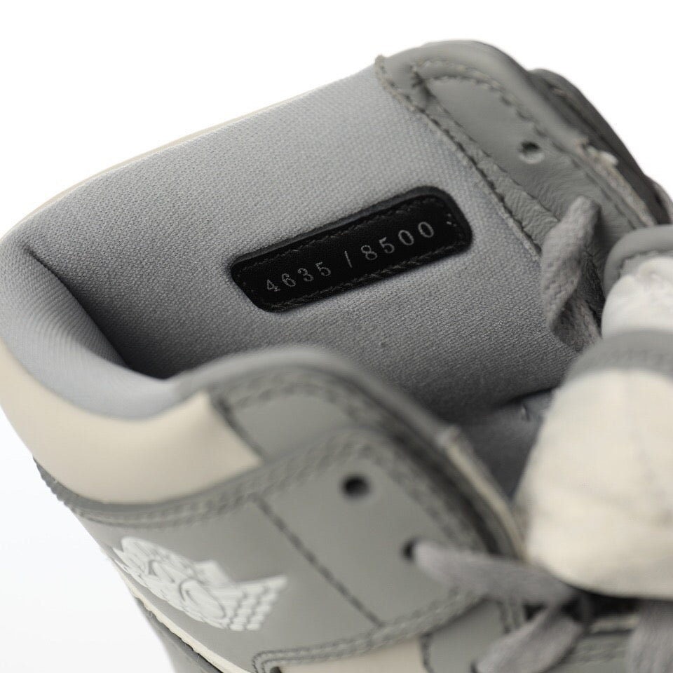 Air Jordan 1 Retro High Dior