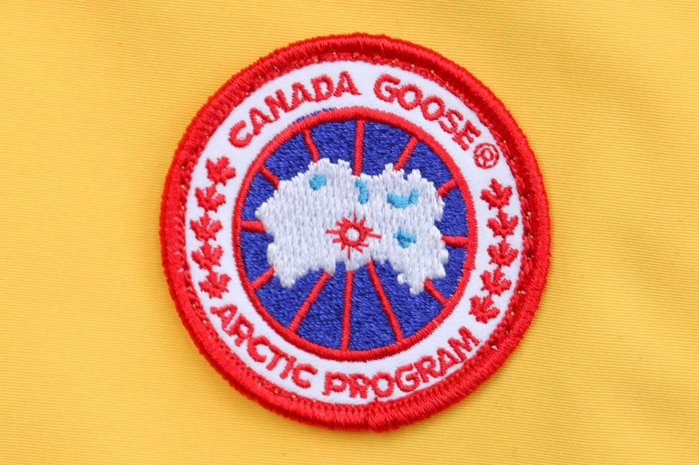 Canada Goose