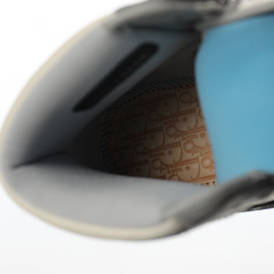 Air Jordan 1 Retro High Dior