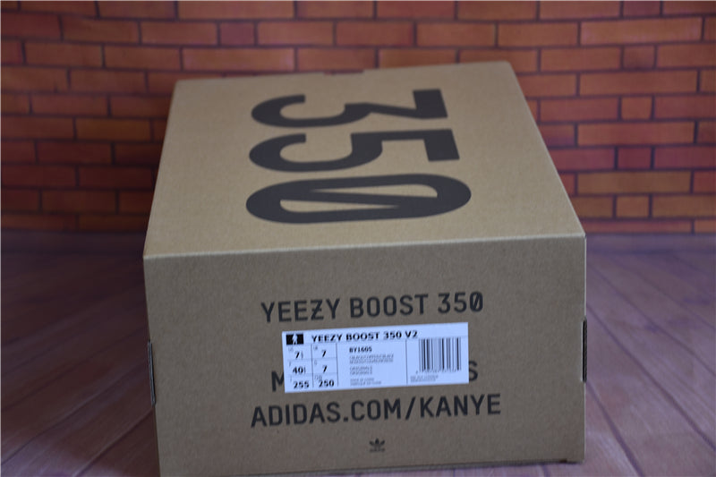 Yeezy Boost 350 V2 "Cooper"