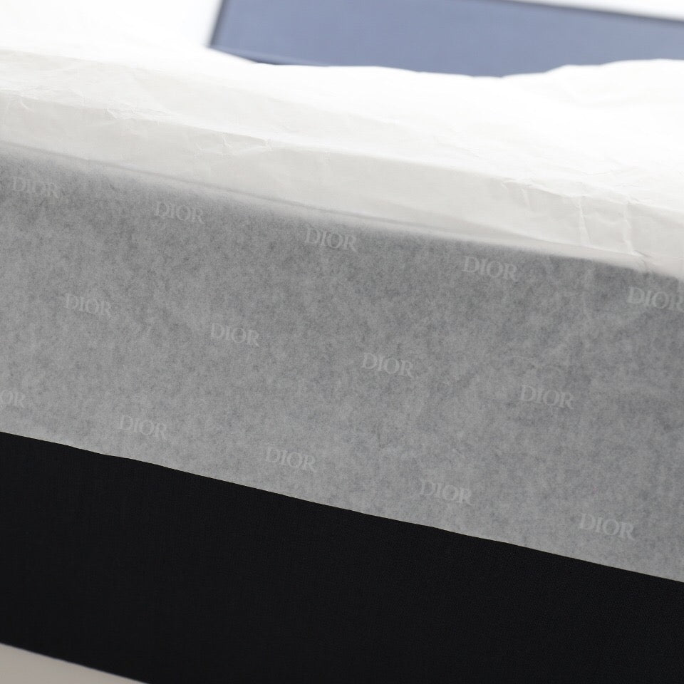 Air Jordan 1 Retro High Dior