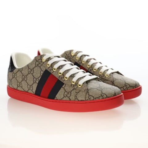 Gucci Ace Shoes